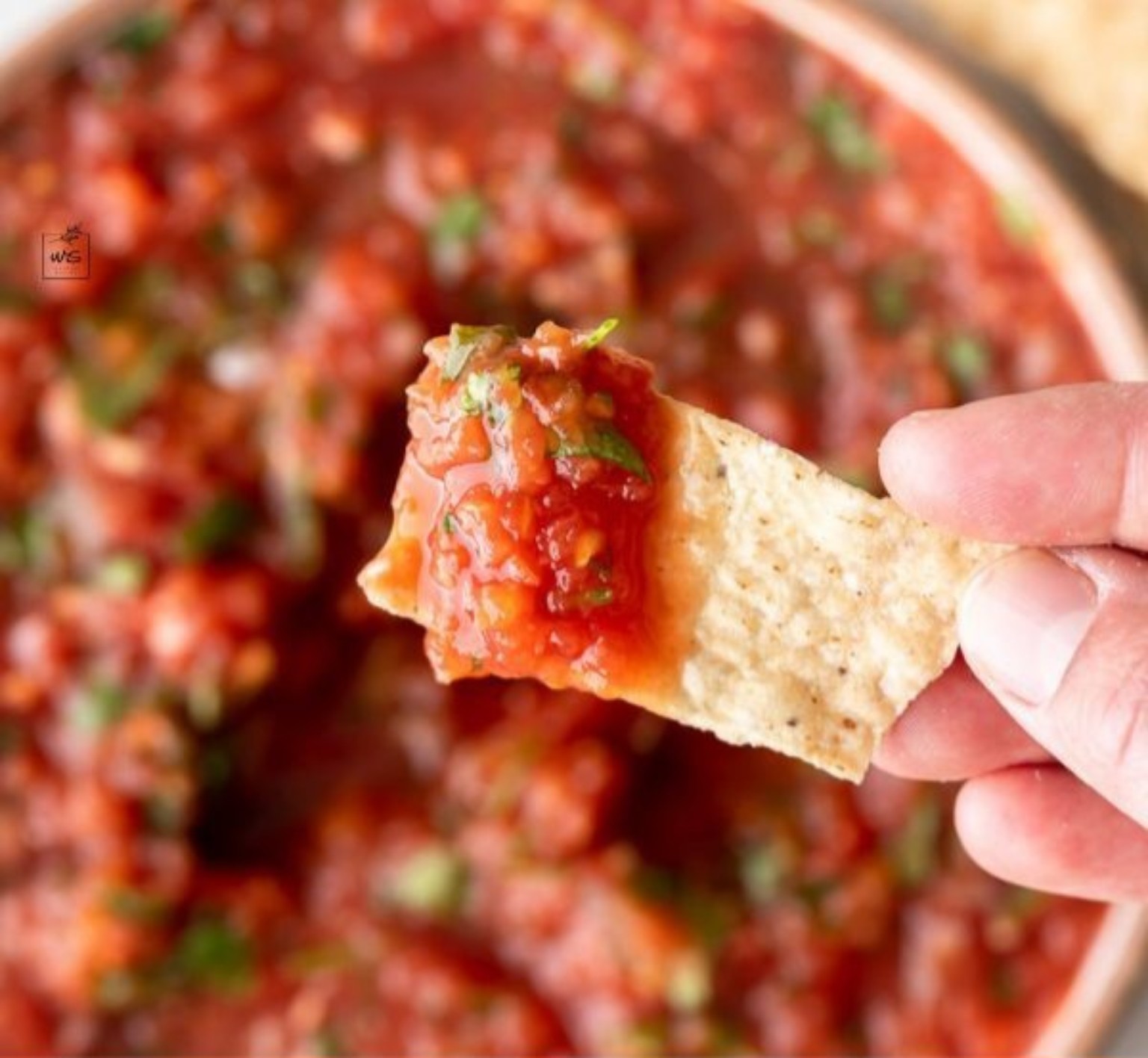 Mama's Meltdown salsa with tortilla chip